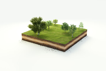 3d cubical garden grass land with trees, soil geology cross section, 3d illustration ground ecology 