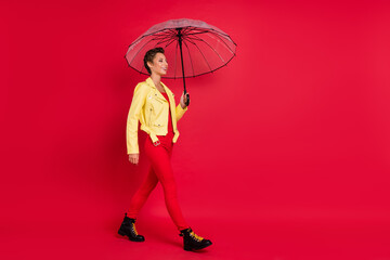 Poster - Photo of charming adorable young woman dressed leather jacket holding open parasol walking smiling isolated red color background