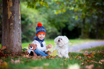 Little toddler child, boy, playing with knitted amigurumi teddy bear in autumn park