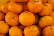 Closeup Shot Of Mandarins Piled Up On Each Other In Singapore