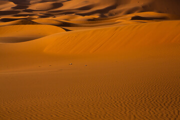 Wall Mural - Beautiful sand dunes in the Sahara Desert in Morocco. Landscape in Africa in desert.