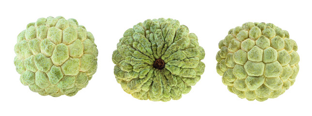 Wall Mural - Sugar Apple fruit Isolated on white background