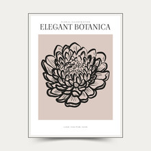 Botanical Abstract Wall Arts. Floral Vector Poster Collection.