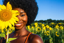 Beautiful Afro American Woman In A Sunflowers Field