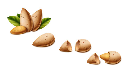 3d realistic vector background. Almond nuts in different stages. Almond shell, broken shell, nut. Isolated on white background.