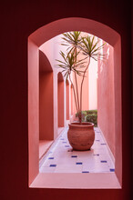 A Palm Tree In A Ceramic Pot Decorates A Roofless Passage In A Building With Terracotta Walls