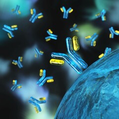 Wall Mural - antibodies, immunoglobulins, the immune system, 3D rendering