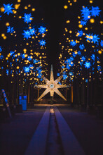 Germany, Berlin, Christmas Decoration, Moravian Star