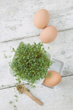 Cress In A Bowl, Brown Eggs And Wooden Spoon On Wood