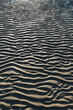 © Anke Scheibe Fotografie/Westend61 - Denmark, Romo, Rippled beach sand