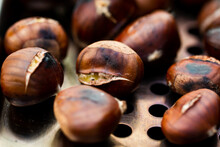 Group Of Beautifully Roasted Chestnuts On Metal Plate