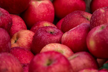 Close-Up Of Fresh Wet Red Apples
