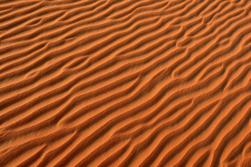 United Arab Emirates, Rub' al Khali, desert sand and ripple marks