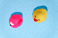 Yellow Duck And Pink Flamingo, Bath Toys On Blue Background With Copy Space