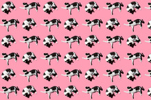 Pattern Of Black And White Cat Lying Against Pink Background