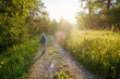 © Martin Siepmann/Westend61 - Rear view of senior hiker walking towards forest during sunny day, Bavaria, Germany