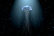 © Westend61 - Three dimensional render of white glowing jellyfish