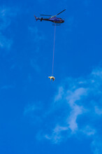 Helicopter Transporting Cow Against Blue Sky