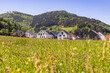 © Werner Dieterich/Westend61 - Germany, Baden-Wurttemberg, Buchenbach, Meadow in front of houses at foot of forested hill in Black Forest