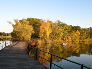 Wall Mural - autumn in the park