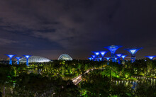 Gardens By The Bay With Supertree Grove And Skywalk At Night, Singapore