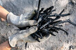 © Nabiha Dahhan/Westend61 - Hands holding self made charcoal outdoors