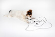 © Petra Stockhausen/Westend61 - Mongrel watching drawn mirror image lying on white ground
