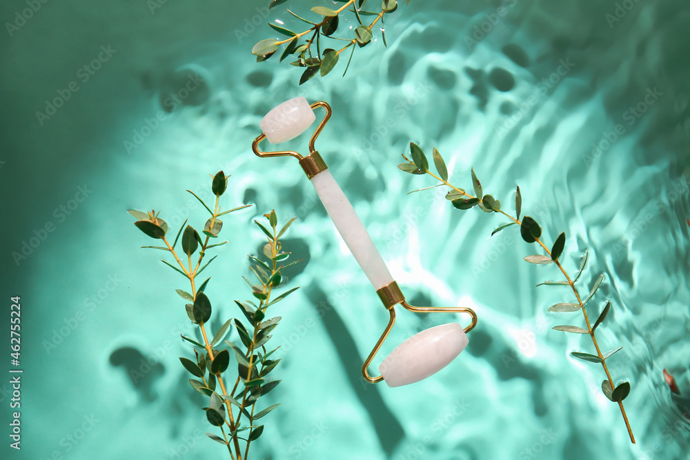 Facial massage tool and plant branches in water on color background