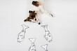 © Petra Stockhausen/Westend61 - Mongrel with drawn fishes on white ground