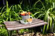 © Eva Gr√ºndemann/Westend61 - Dessert with energy balls (raw confectionery) and fresh fruits and flowers on garden chair