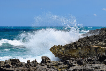 Caribbean Rocks and Waves 796