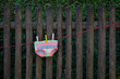 © Axel Ganguin/Westend61 - Colorful underpants drying on clothesline in front of wooden fence