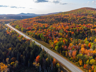 Poster - aerial view of road in autumn forest and mountain