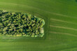 © Martin Ruegner/Westend61 - Germany, Bavaria, Aerial view of small grove and green countryside field
