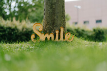 Smile Sign Leaning On Tree Trunk
