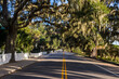 © Westend61 - USA, South Carolina, Beaufort, Oak tree alley