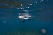© Konstantin Trubavin/Westend61 - Maledives, Under water view of surfer sitting on surfboard, underwater shot