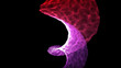 © lili - black with pink abstract background. modern abstract background. digital art