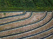 © Konstantin Trubavin/Westend61 - Aerial view of agricultural landscape, Bali, Indonesia