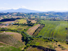 Italy, Marche, Aerial View Of Green Countryside Landscape In Summer
