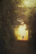 Germany, North Rhine-Westphalia, Wuppertal, Silhouette Of Man Standing In Middle Of Forest Footpath