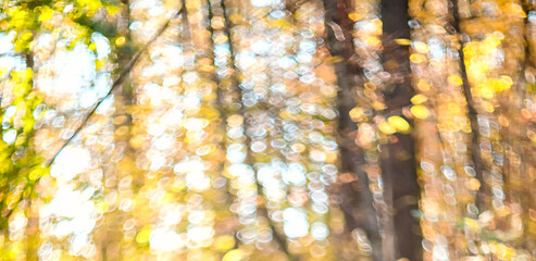 Blurred yellow natural autumn background with bokeh