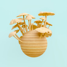 Wooden Mushrooms Sculpture, 3d Rendering