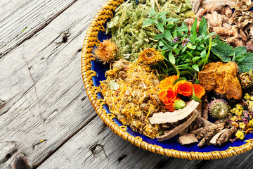 Wall Mural - Medicinal plants in medicine