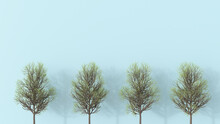 3D Rendering, Row Of Bare Trees