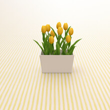 3D Rendering, Yellow Tulips On Striped Background