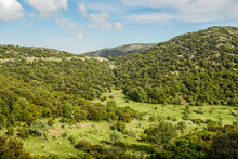 Greece, Oichalia, Green Forested Hills In Spring