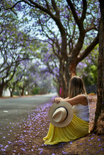 Woman Leaning On A Tree At A Street With Jacaranda Trees In Bloom, Pretoria, South Africa