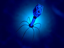 3D Rendered Illustration Of A Anatomically Correct Convergence To A Bacteriophage, A Virus That Replicates Within A Bacterium