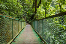 Trail At La Fortuna Waterfall, La Fortuna, Costa Rica